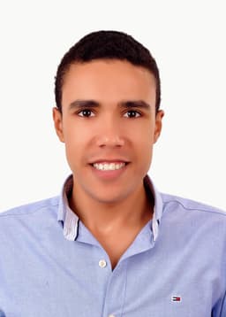 Metwally Hamza Metwally